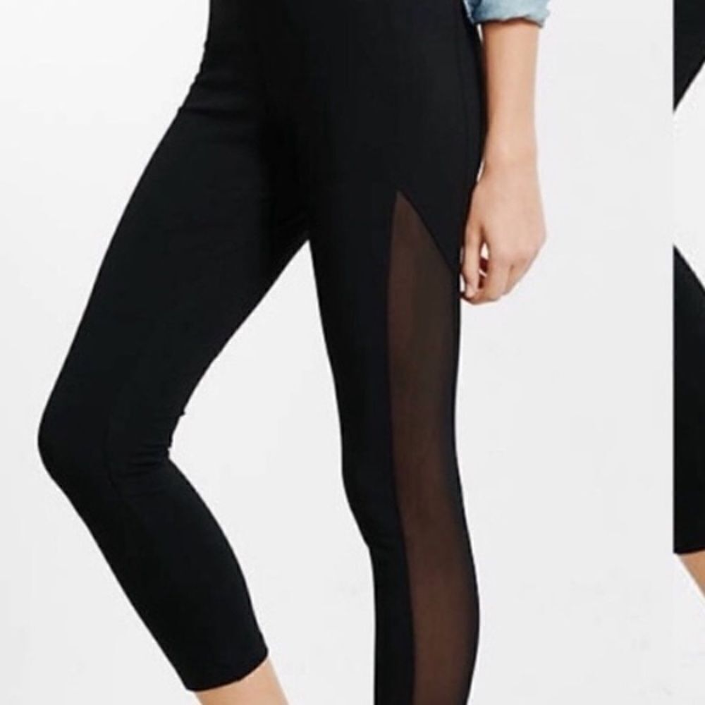 Express leggings